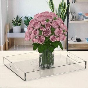 TRAY CLEAR ACRYLIC SERVING NEW IN BOX